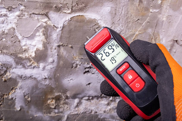 Best Preventive Mold Services in Desert Aire, WA