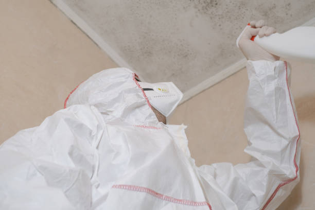 Best Post-Remediation Services in Desert Aire, WA