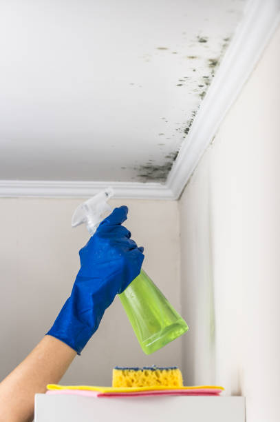 Best Preventive Mold Services in Desert Aire, WA